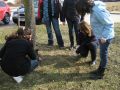 2010-fruehjahr03