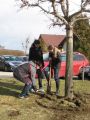 2010-fruehjahr05