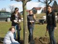 2010-fruehjahr08