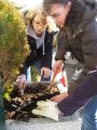 2010-fruehling2