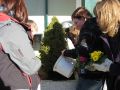 2010-fruehling3