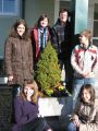2010-fruehling5