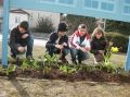 2010-fruehling6