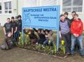 2010-fruehling7