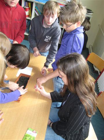 2011-04-BuEAA_3