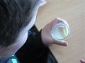 milch_19
