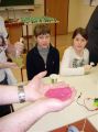 tag-der-vs_33
