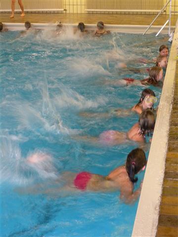 2011-BSPS_1