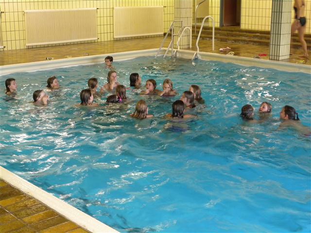 2011-BSPS_2
