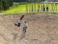 Motorikpark_11
