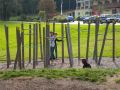 Motorikpark_12