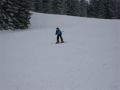 2012-schi4_11
