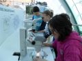 201112-stp_16