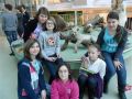 201112-stp_17