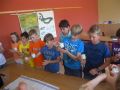 2012-milch_12