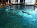 2012-Schwimm-M_15