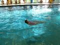 2012-Schwimm-M_20