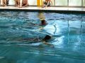2012-Schwimm-M_22