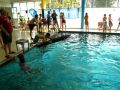2012-Schwimm-M_26