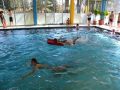 2012-Schwimm-M_28
