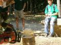 2012-waldj-land_32