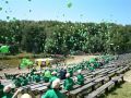 2012-waldj-land_43