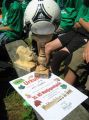 2012-waldj-land_48