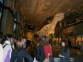 2012-Wien_26