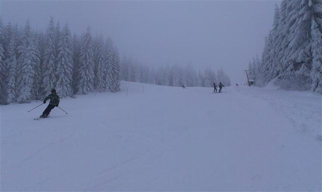 2013-01-Schi_1