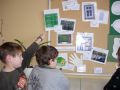 2013-01-flaeche_4