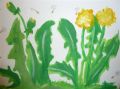 2013-02-Acryl_26