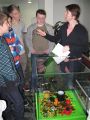 2013-02-asma_2
