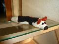 2013-03-Filzen_23