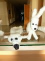 2013-03-Filzen_24