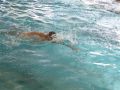 2013-04-schwimmen_17