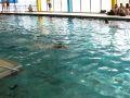 2013-04-schwimmen_19