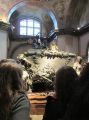 IMG_0070