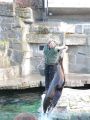 IMG_0683a