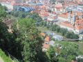 IMG_0545