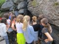 IMG_1385