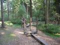 DSCN5007