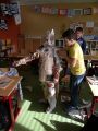 DSCN5139