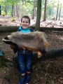 IMG_20180528_150509