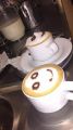 IMG-20190129-WA0003