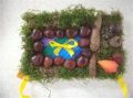 IMG_20191002_170425