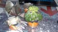 IMG-20210114-WA0002