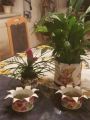 IMG-20210114-WA0003