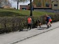 IMG-20220429-WA0015