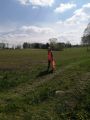 IMG-20220429-WA0023