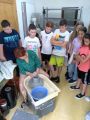 IMG_20220524_091822